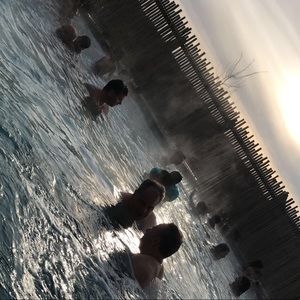 Meet your Posher, Ginerys